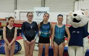 Charlotte : 25ème en Fédéral A 12-13 ans / Maëlyn 17ème en Fédéral A 14-15 ans finale A / Lomé 8ème en Fédéral A 14-15 ans finale B / Lilwenn 14ème en Fédéral A 14-15 ans finale B / Romane (non présente sur la photo) 30ème Fédéral A 16-17 ans