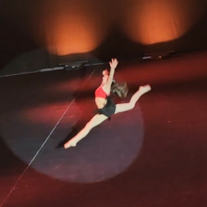 Gala 2026 - Les comédies musicales - Images extraites du spectacle